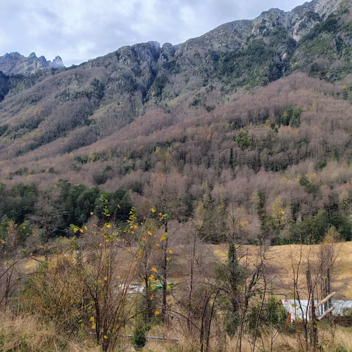 Hermosa Parcela Con Cabaña en Puesco