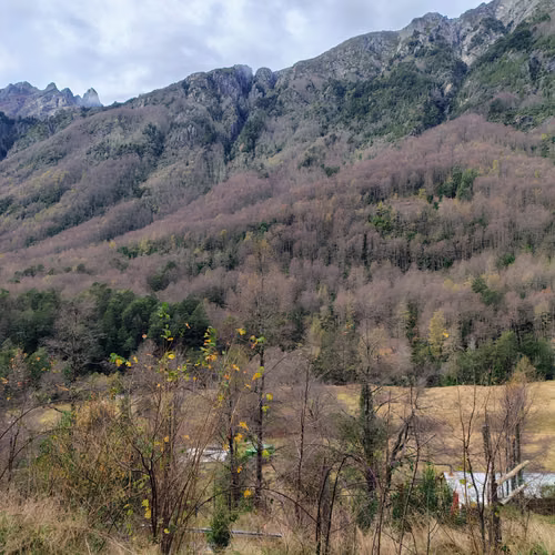 Hermosa Parcela Con Cabaña en Puesco