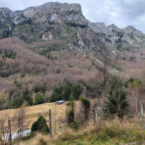 Hermosa Parcela Con Cabaña en Puesco