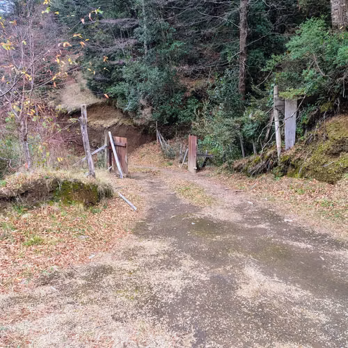 Hermosa Parcela Con Cabaña en Puesco