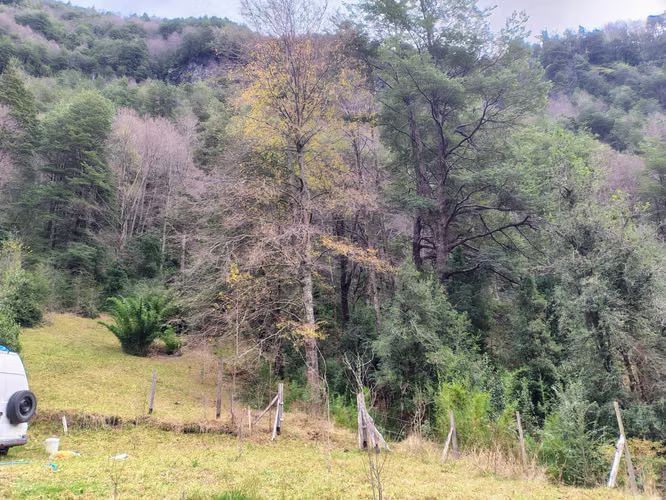 Hermosa Parcela Con Cabaña en Puesco