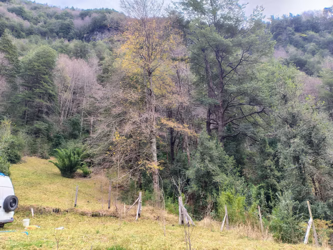 Hermosa Parcela Con Cabaña en Puesco