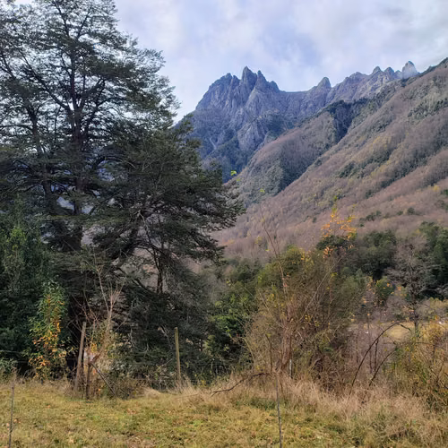 Hermosa Parcela Con Cabaña en Puesco