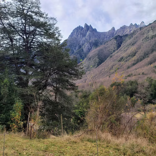Hermosa Parcela Con Cabaña en Puesco