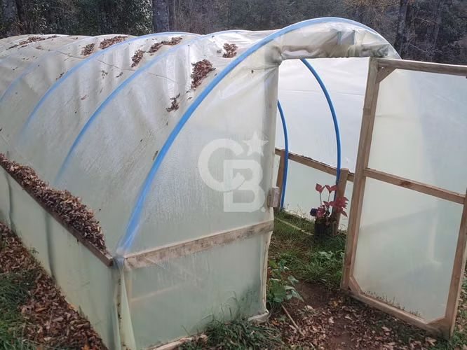 Casa en parcela con bosque nativo y amplios espacios