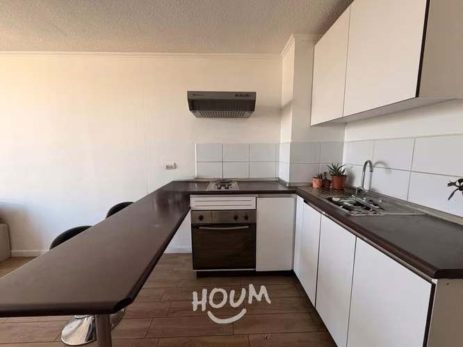 Departamento en Buzo Sobenes