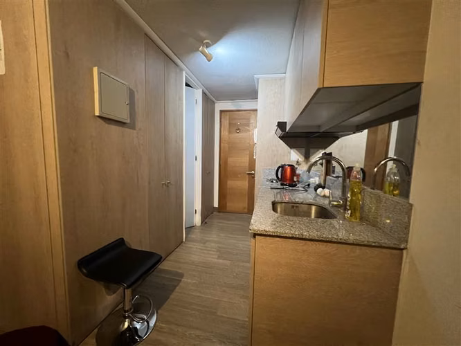 Departamento en venta de 1 dorm. en Santiago