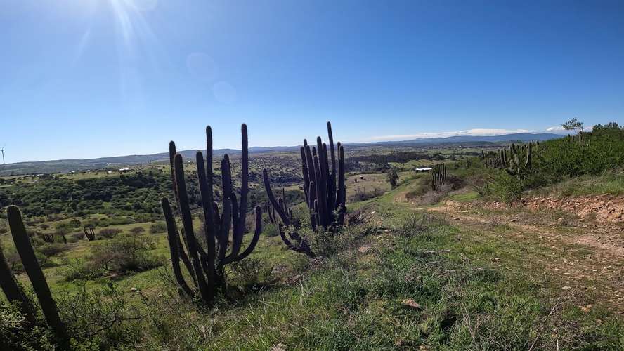 PARCELAS A 2 HORAS DE SANTIAGO TERRENOS PLANOS CRÉDITO DIRECTO