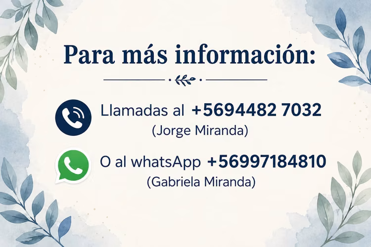 Se vende Sounlog Bus