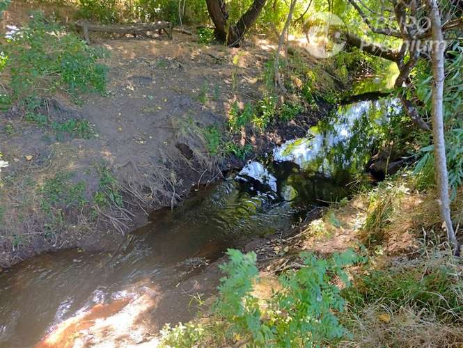 Terreno 10.000 m con estero a 9 km de Los Ángeles. Dueño