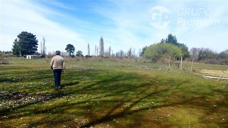 Terreno 10.000 m con estero a 9 km de Los Ángeles. Dueño