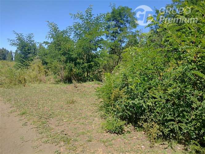 Terreno 10.000 m con estero a 9 km de Los Ángeles. Dueño