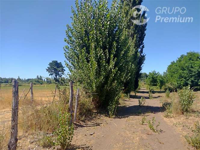 Terreno 10.000 m con estero a 9 km de Los Ángeles. Dueño