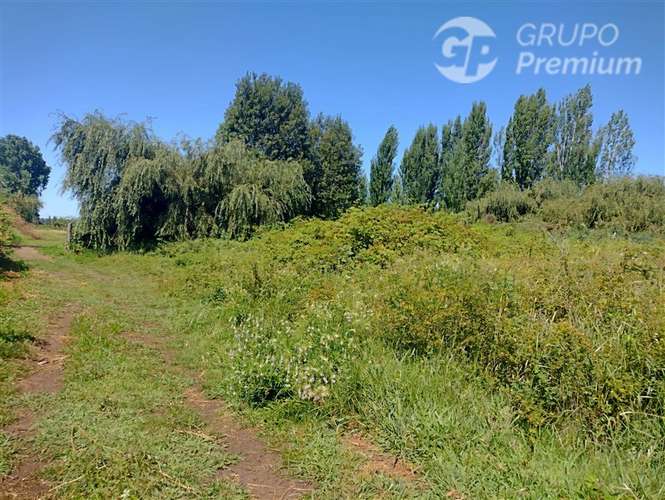 Terreno 10.000 m con estero a 9 km de Los Ángeles. Dueño