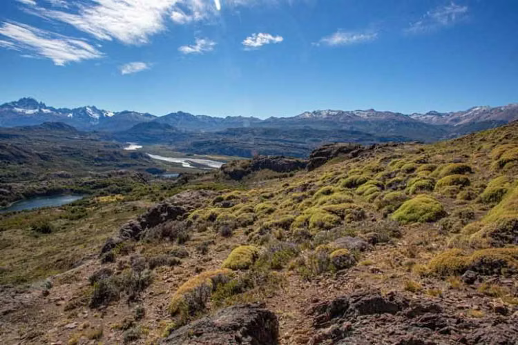 Terreno de 58 has con vista Cerro Castillo (178730) - Imagen 10