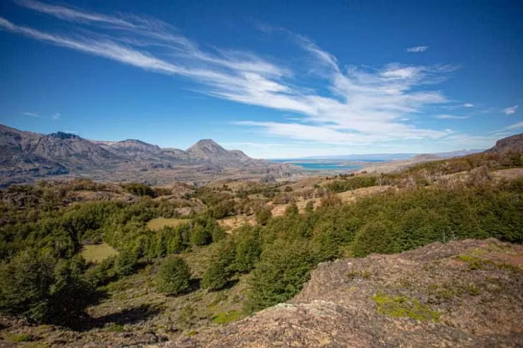 58 hectáreas vista Cerro Castillo (178730)