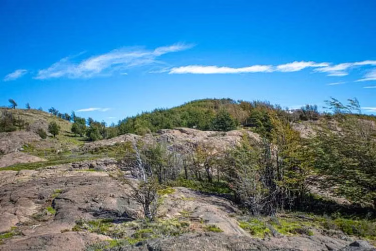 58 hectáreas vista Cerro Castillo (178730)