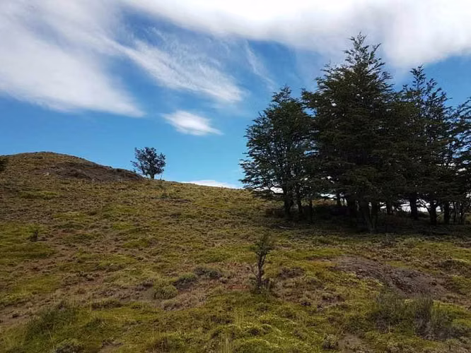 58 hectáreas vista Cerro Castillo (178730)