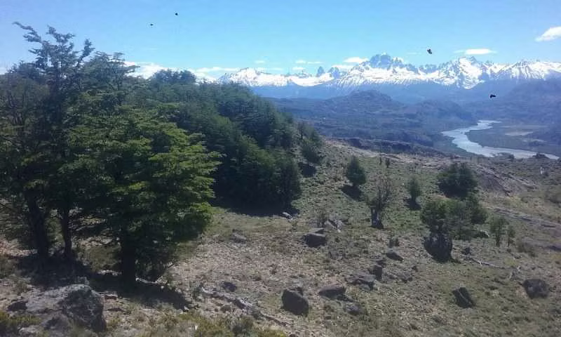 58 hectáreas vista Cerro Castillo (178730)