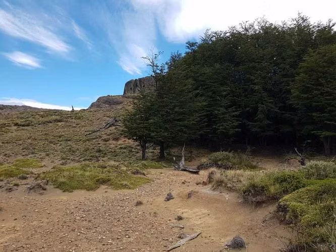 58 hectáreas vista Cerro Castillo (178730)