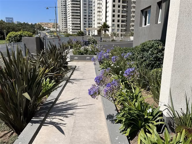 Departamento en arriendo de 2 dormitorios en Concón