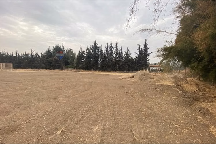 Parcela en chicureo: tu refugio de tranquilidad