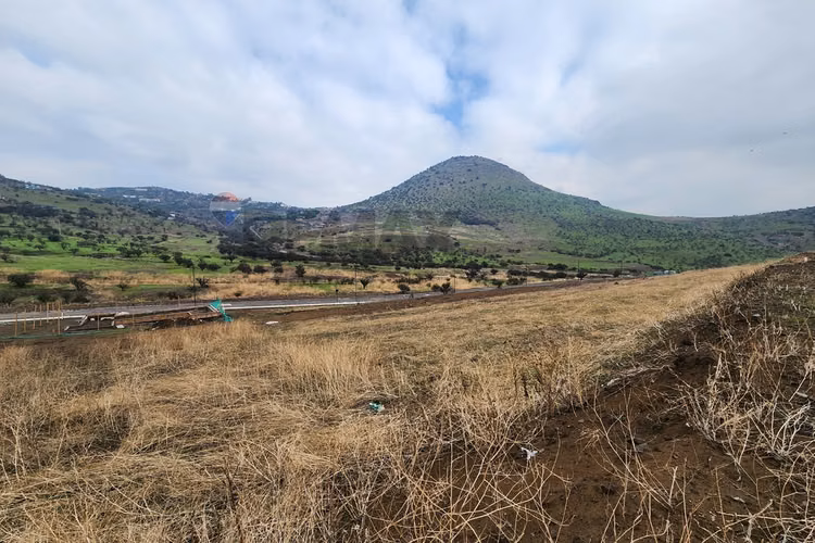 650 m2 la reserva