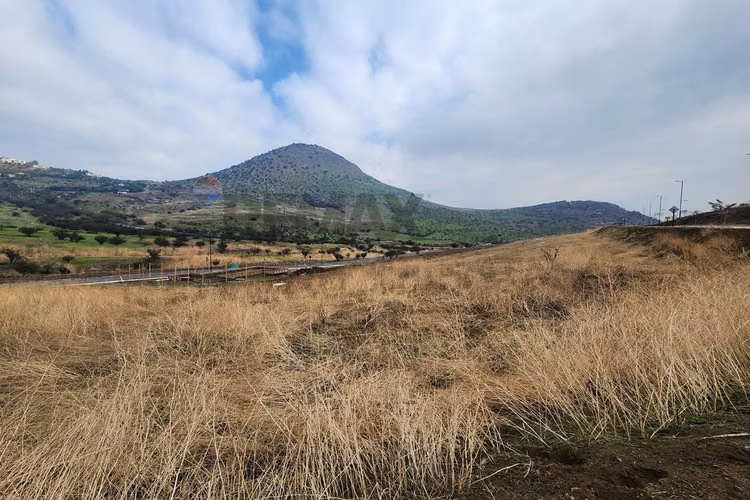 650 m2 la reserva