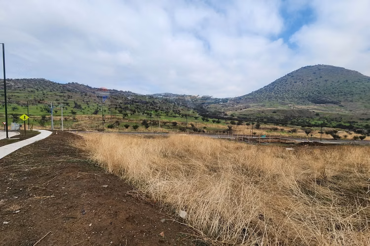 650 m2 la reserva