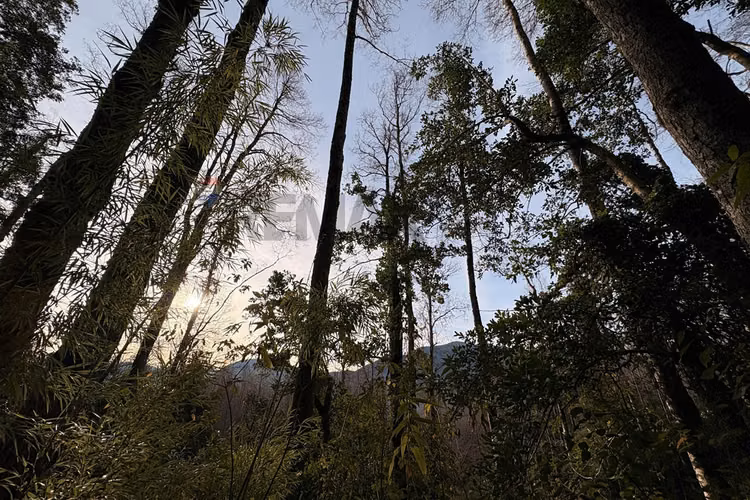 Venta parcela en exclusivo altos del huife