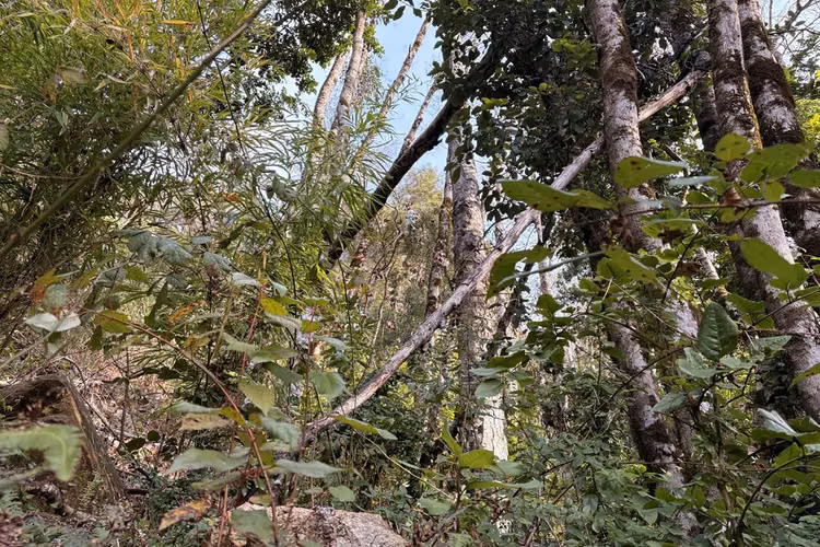Venta parcela en exclusivo altos del huife