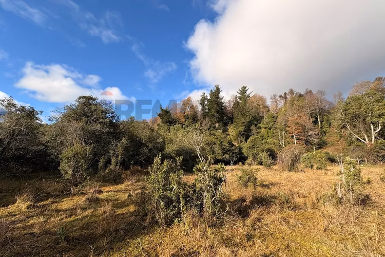 Venta parcela plana entre pucón y curarrehue