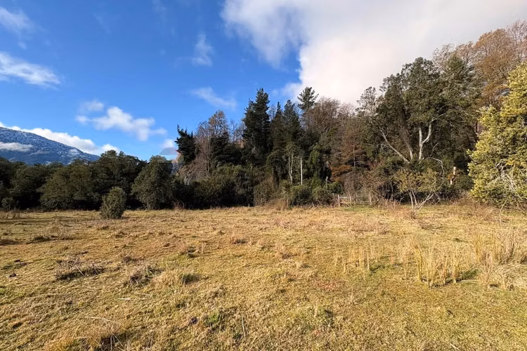 Venta parcela plana entre pucón y curarrehue