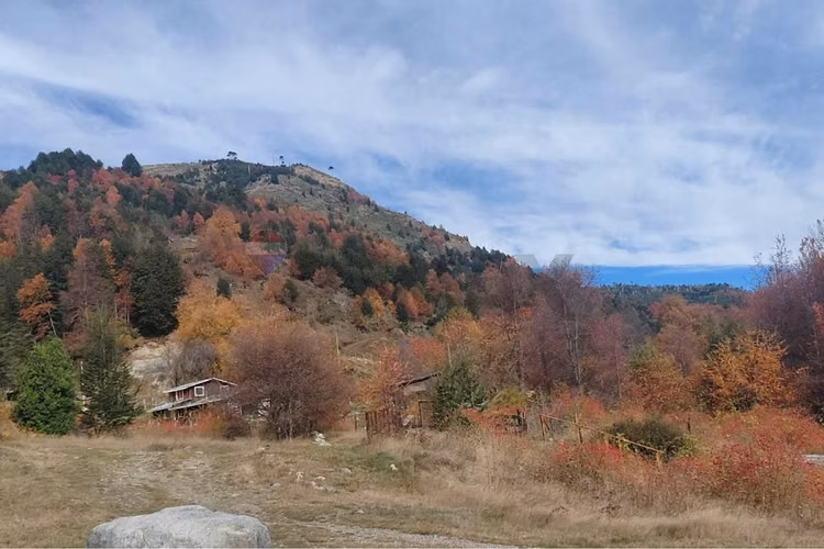 Venta domos y cabaña valle de panqui - Imagen 2