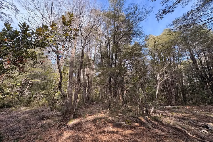 Venta de parcela de 5.027 m² en bosque pucón - Imagen 6