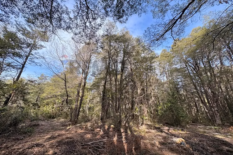 Venta de parcela de 5.027 m² en bosque pucón - Imagen 17