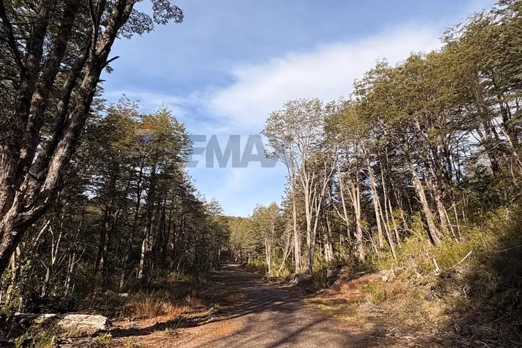 Venta de parcela de 5.027 m² en bosque pucón