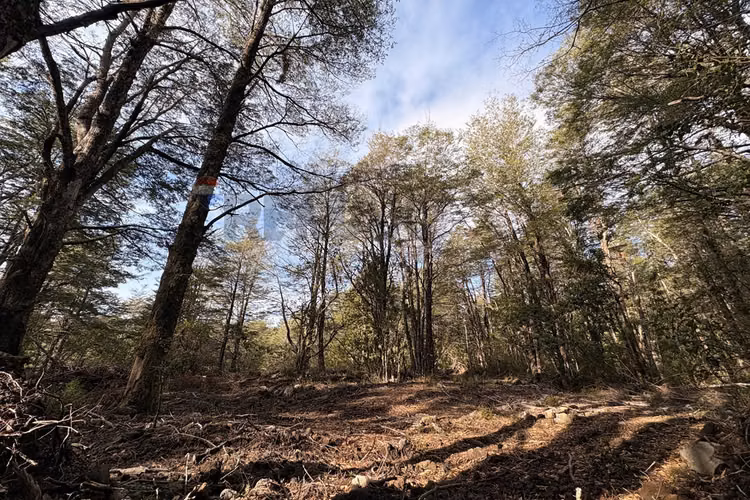 Venta de parcela de 5.027 m² en bosque pucón - Imagen 8