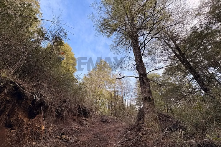 Venta de parcela de 5.027 m² en bosque pucón - Imagen 3