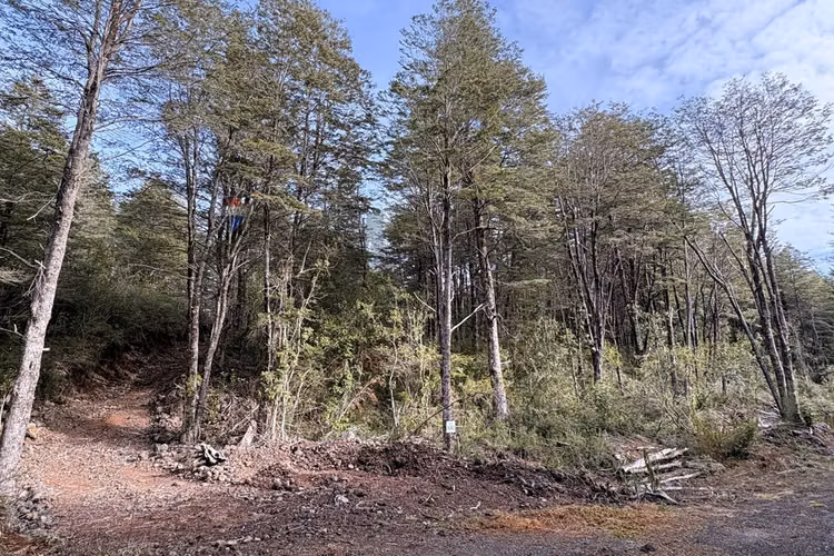 Venta de parcela de 5.027 m² en bosque pucón - Imagen 20