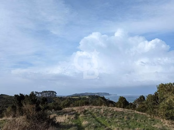 Campo frente a Océano Pacífico, Gran Potencial.