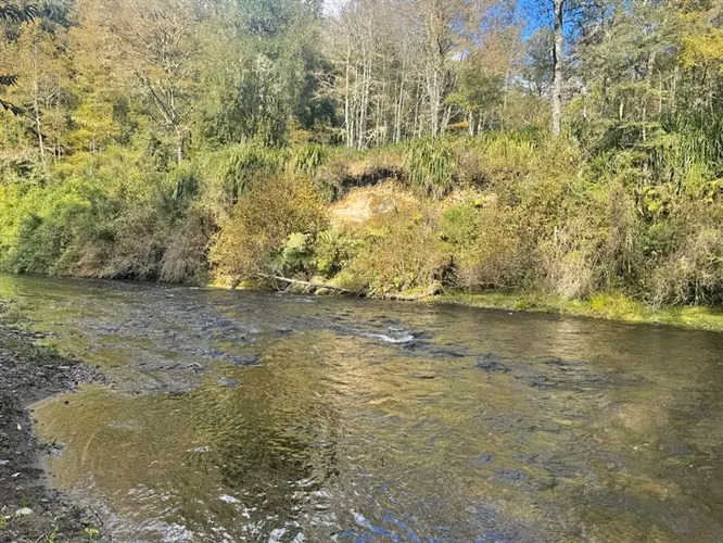 Casa en venta cercana a Lago Ranco