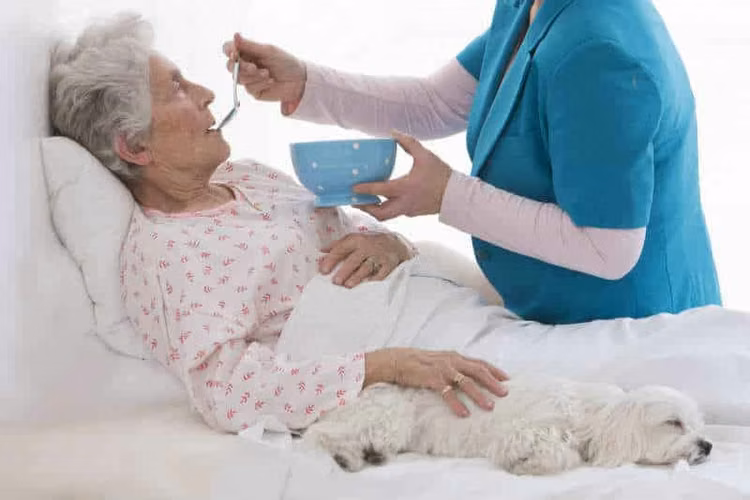 Cuidadora de adulto mayor Maipú
