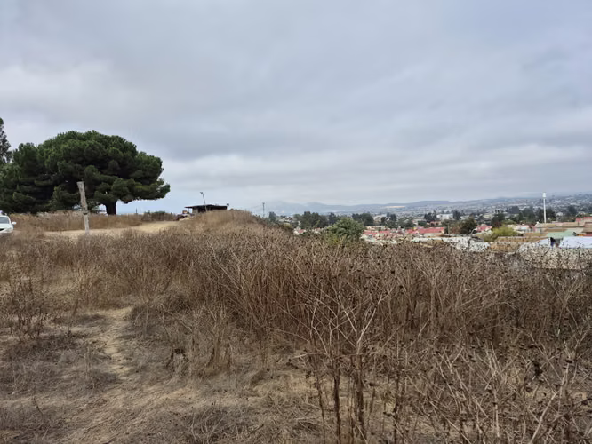 VENDE TERRENO QUILPUE CALLE VECINAL - Imagen 13