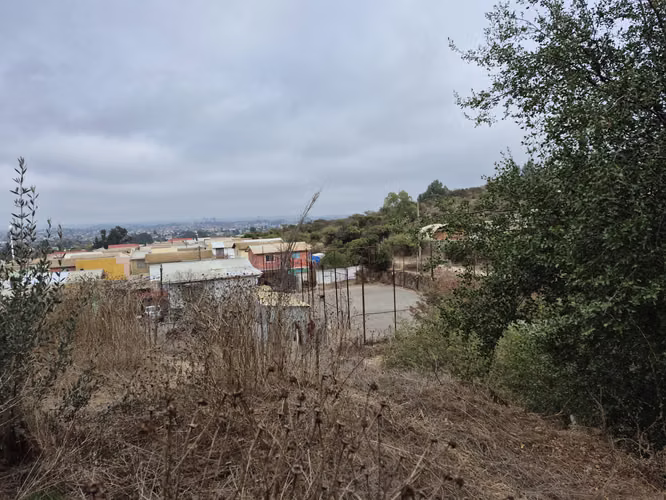 VENDE TERRENO QUILPUE CALLE VECINAL - Imagen 2