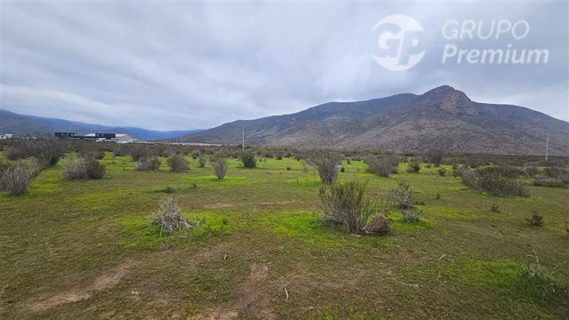 ¡OPORTUNIDAD! 5.000 m2 cerca de Ruta D-51 y El Peñón