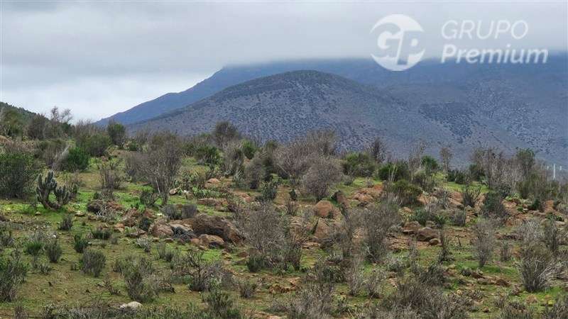 Sitio en venta en La Serena - Imagen 15