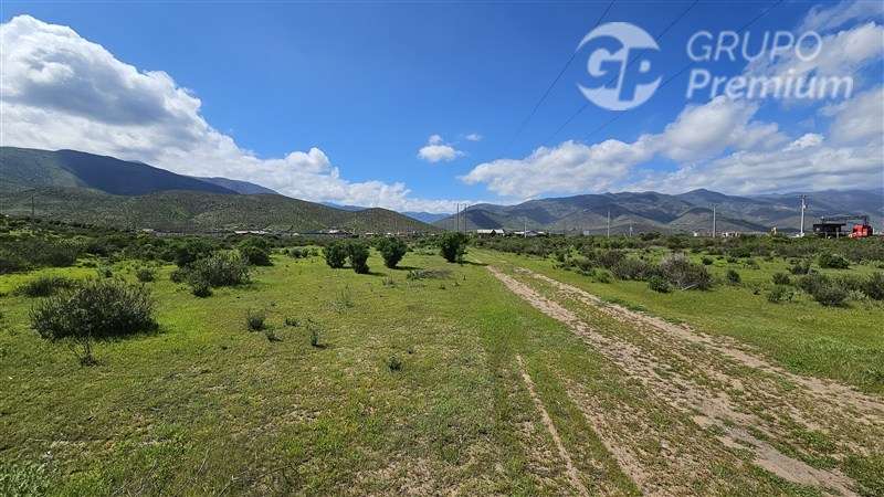 Sitio en venta en La Serena - Imagen 5