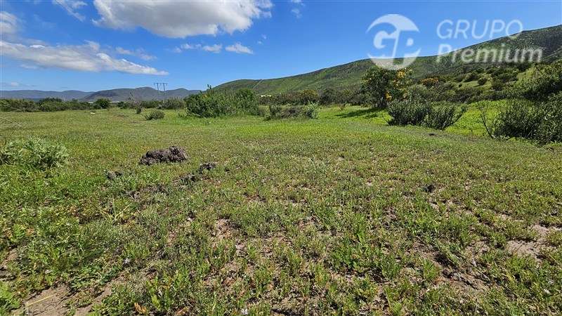 Sitio en venta en La Serena - Imagen 8