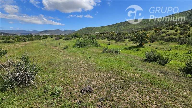 Sitio en venta en La Serena - Imagen 9